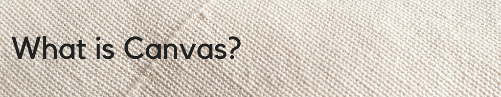 duck canvas what is canvas