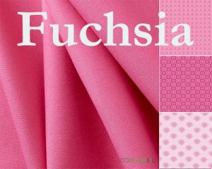Fuchsia Color Patterns
