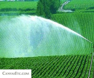 Crops being watered