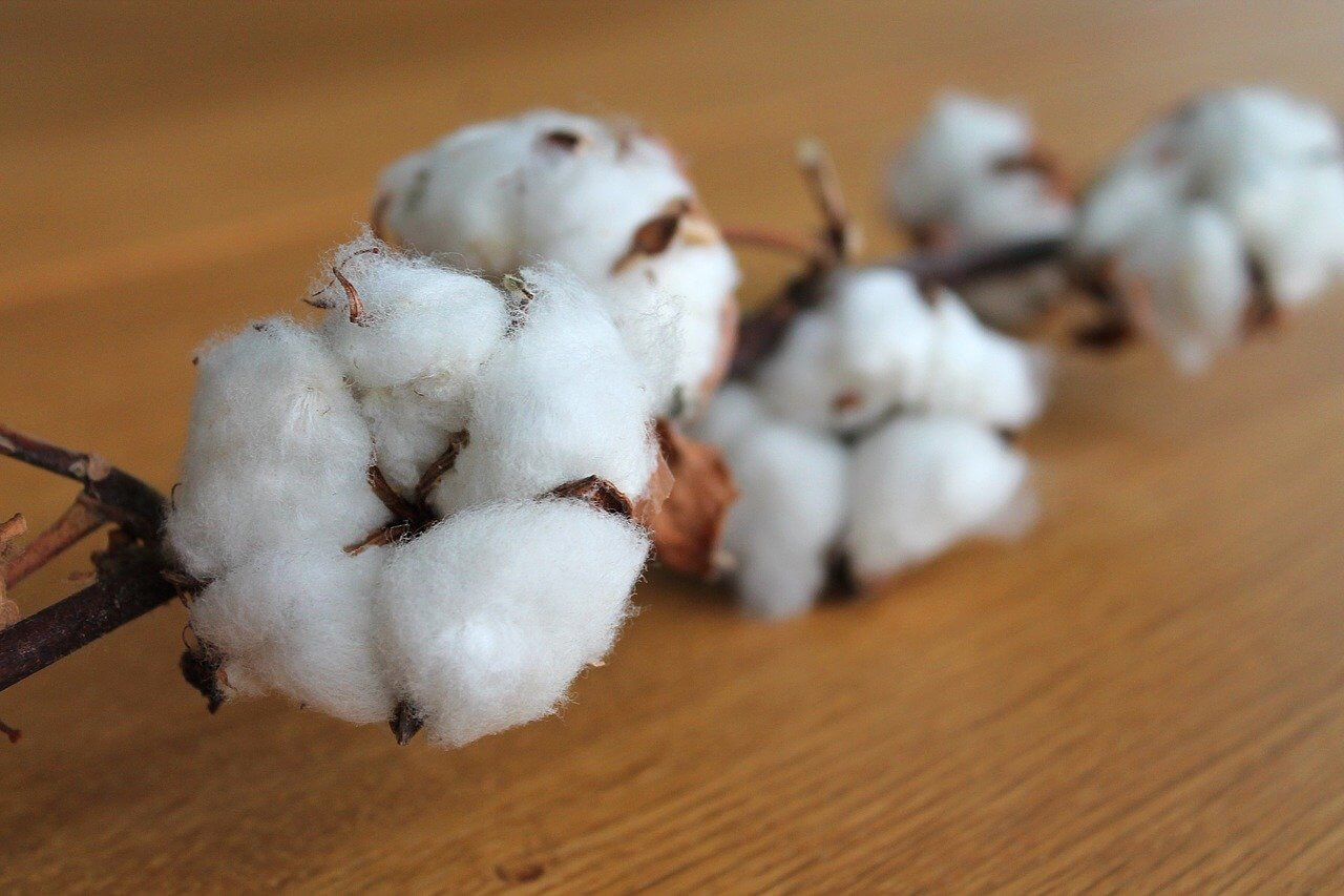 cotton-fabrics-for-dresses-canvas-etc