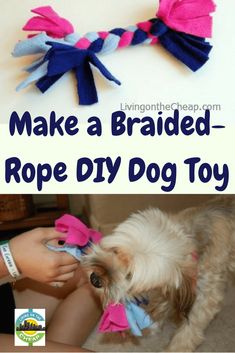 braided-rope-toy-canvas-etc-national-pet-day