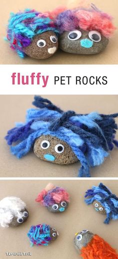 pet-rock-project-canvas-etc-national-pet-day